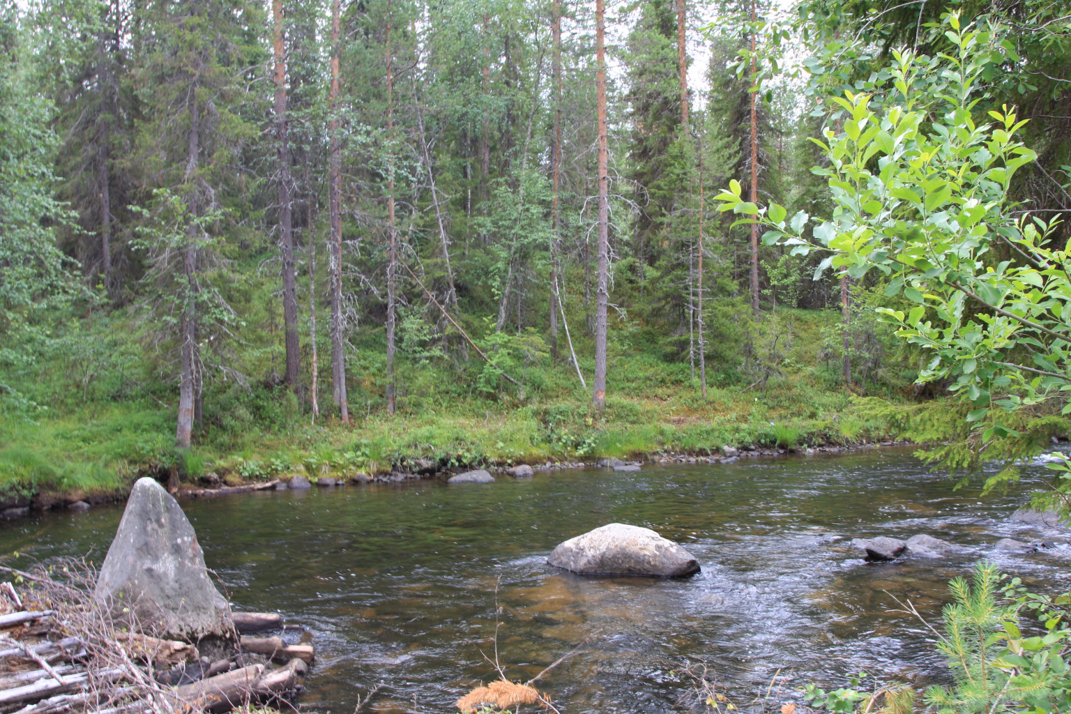 IMG_7889.JPG