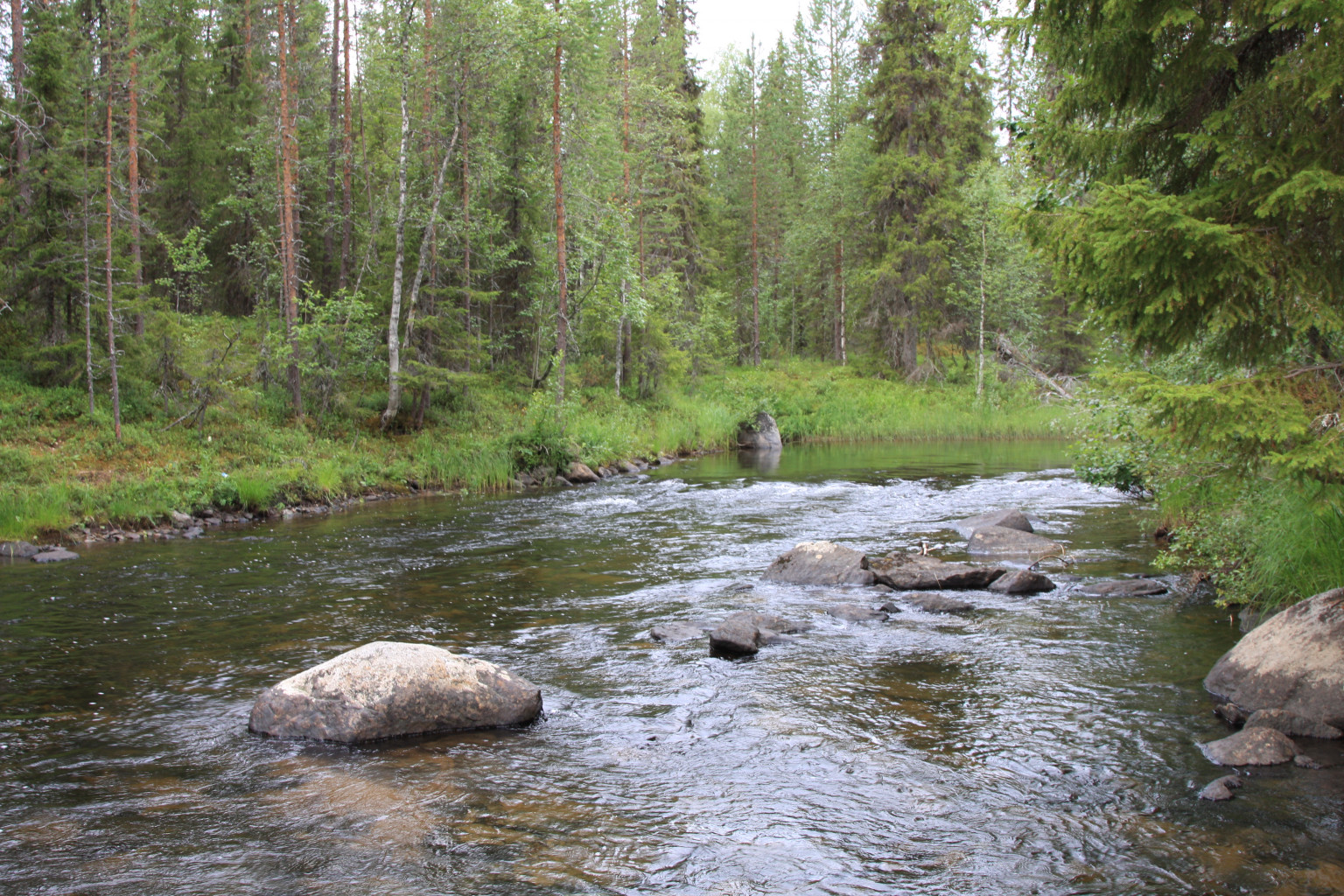 IMG_7890.JPG