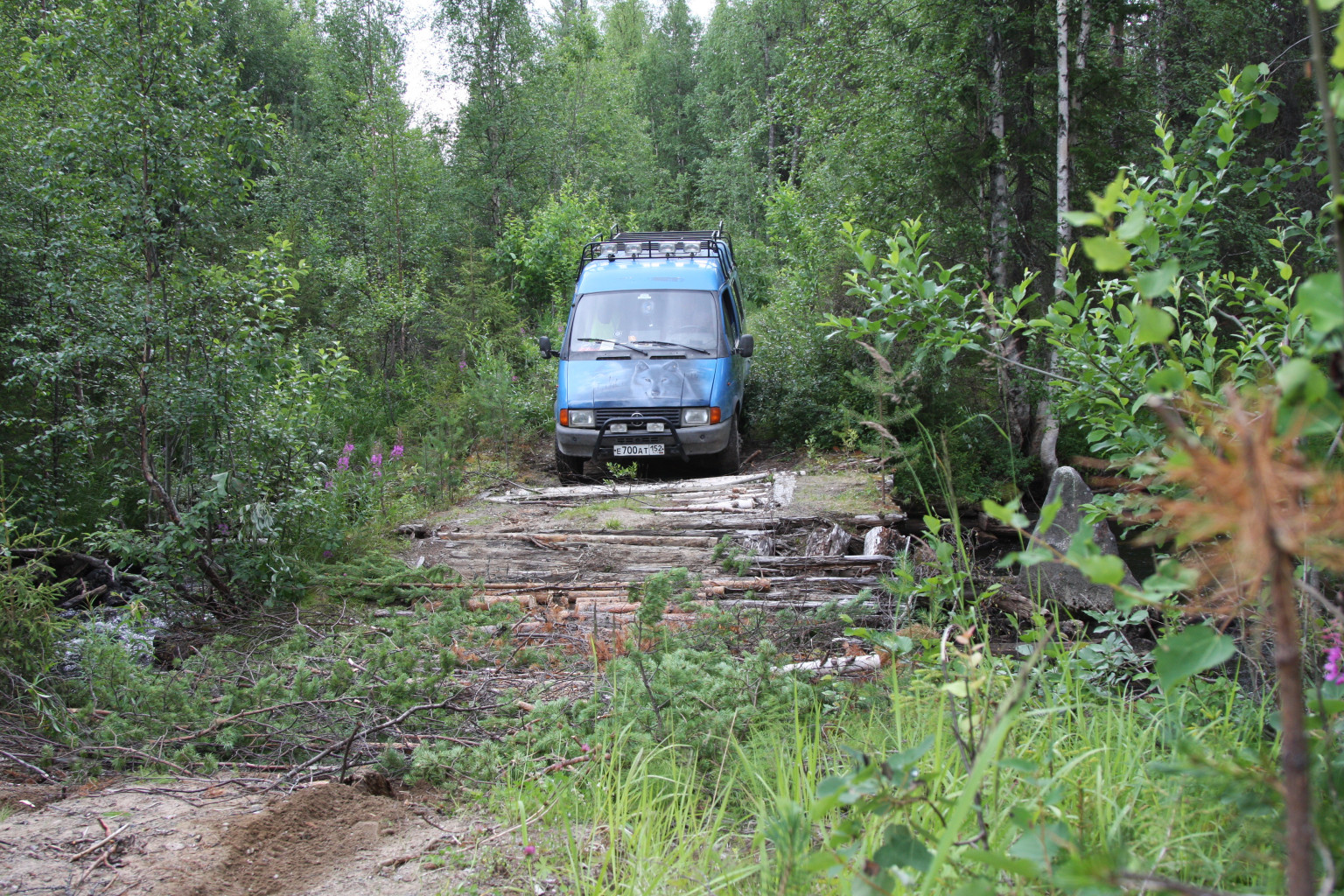 IMG_7924.JPG