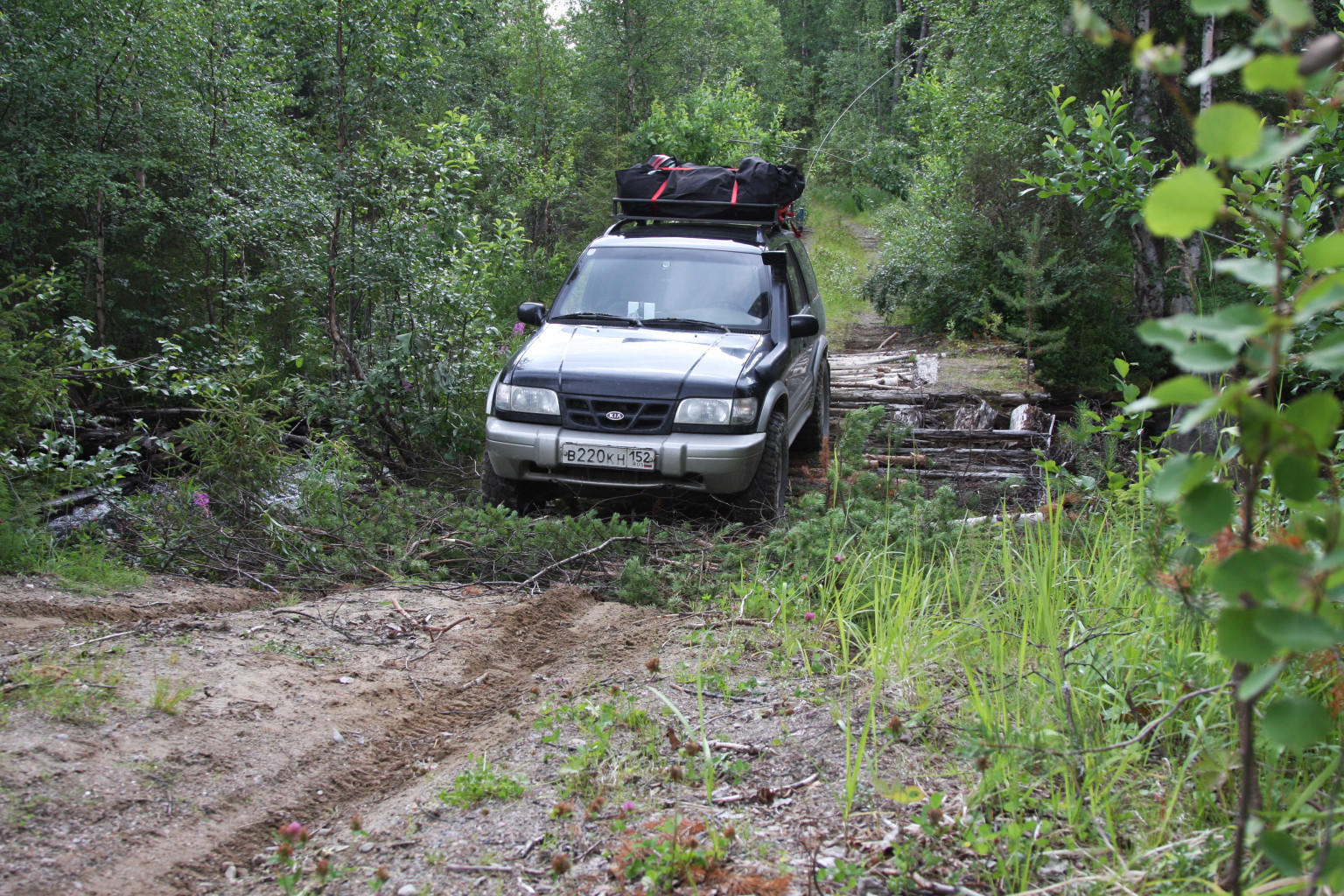 IMG_7960.JPG