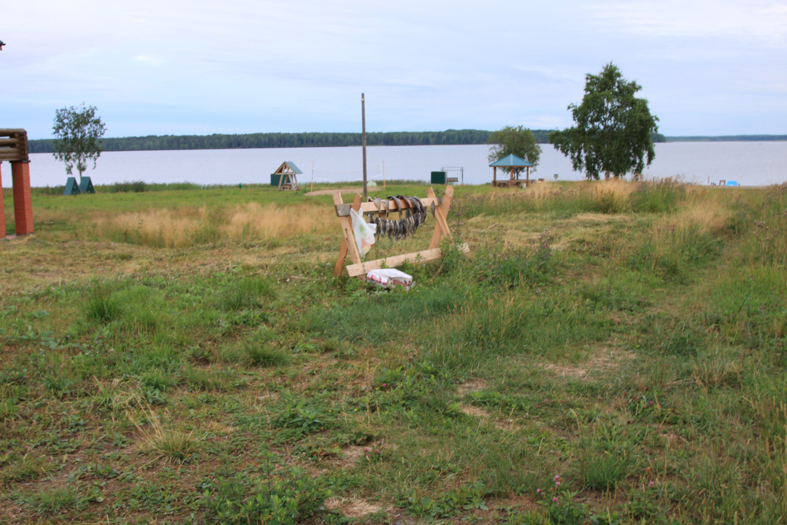 IMG_8087.JPG