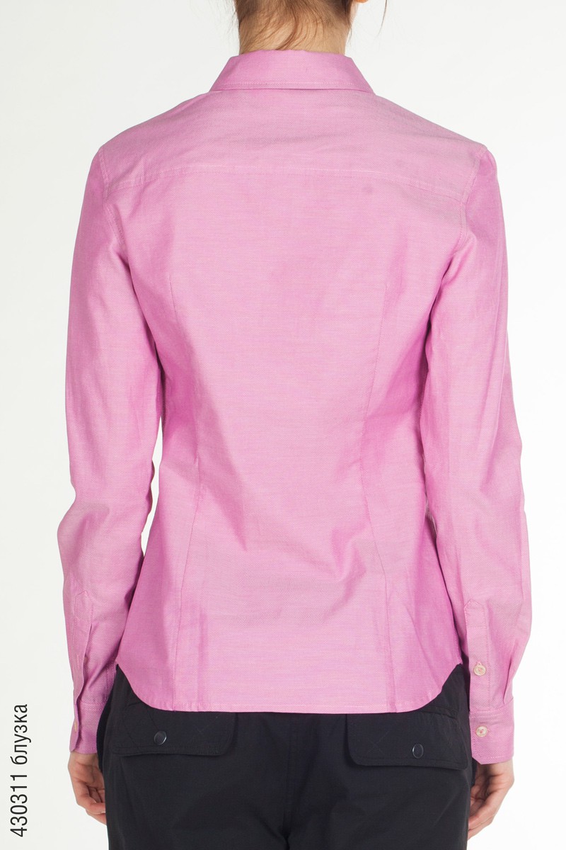 430311_back.jpg