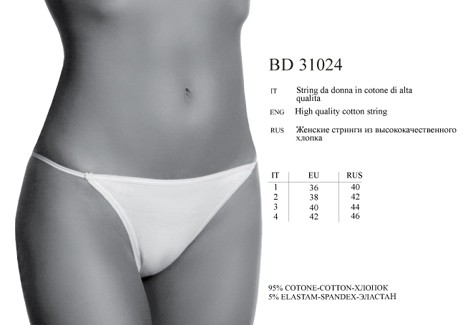 bd31024