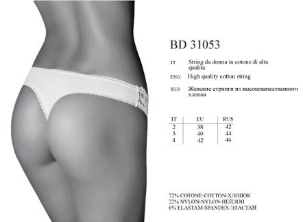 bd31053