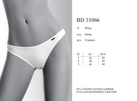 BD31066
