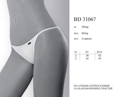 BD31067
