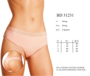 BD31231