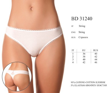 BD31240