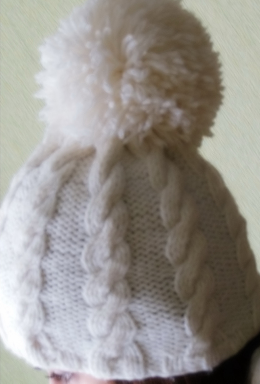 DSCN0830.jpg