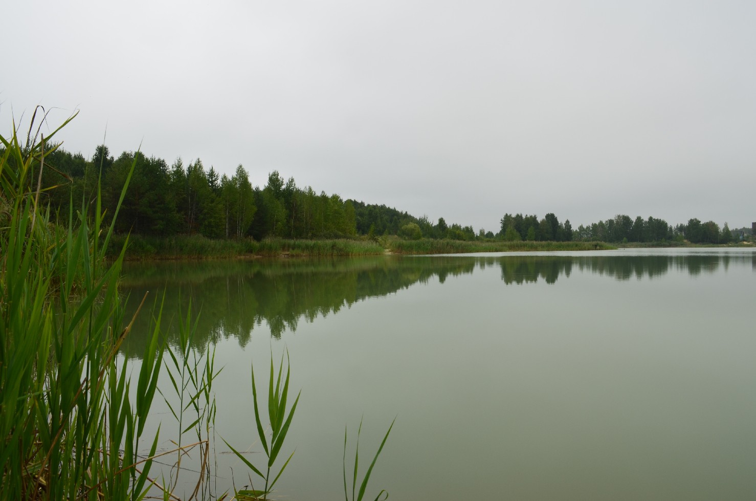 DSC_0137.JPG