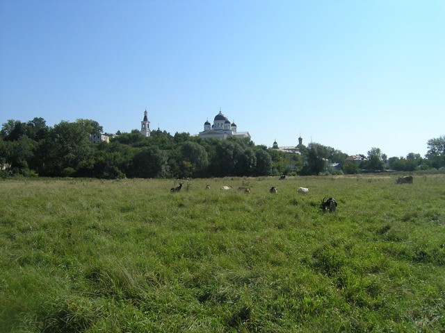 21.08.2007 13:10:13