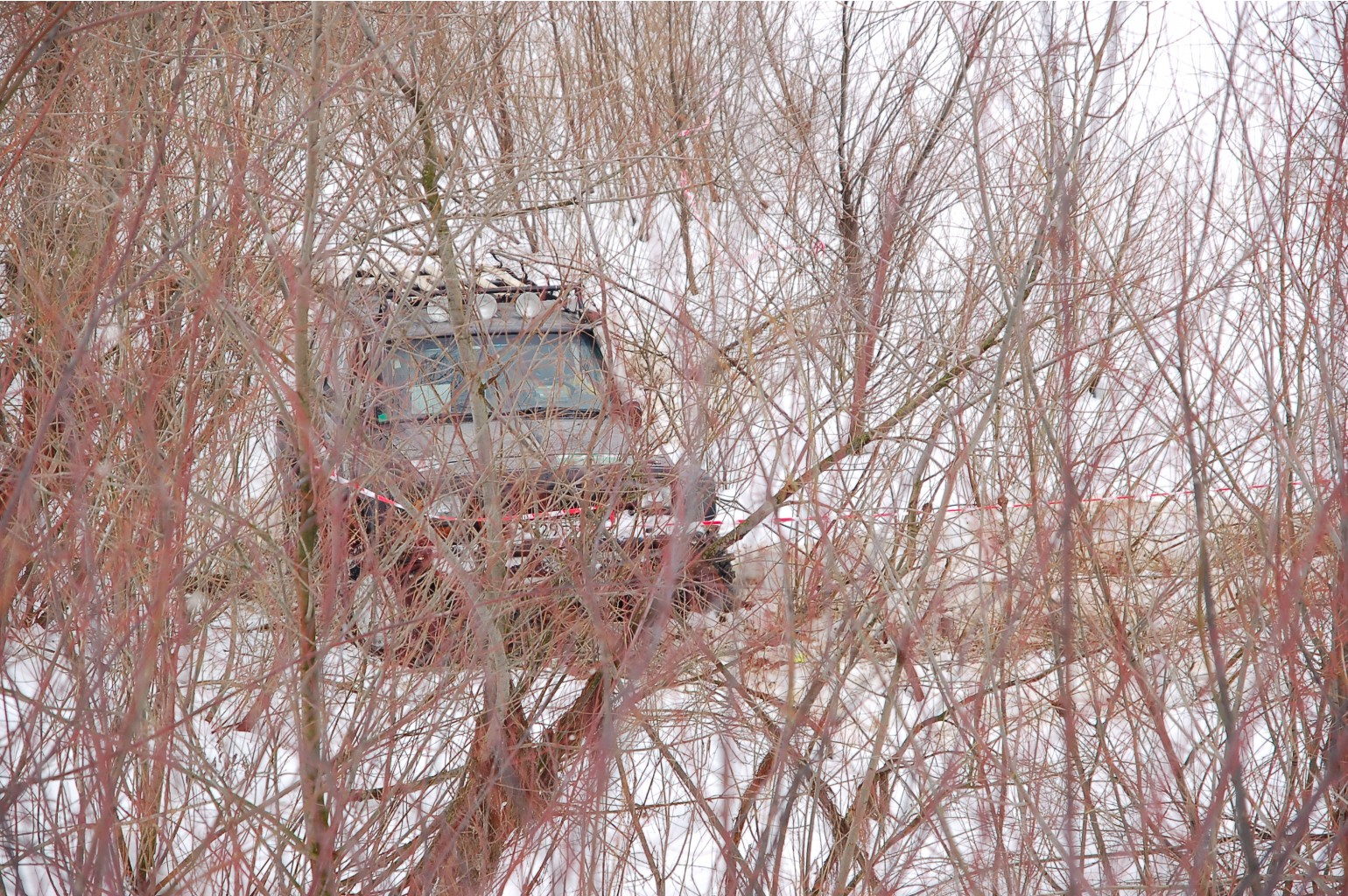 DSC_5764.JPG