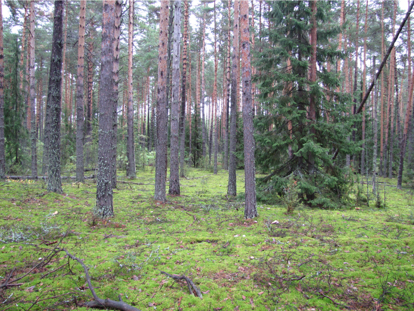 IMG_9606.JPG