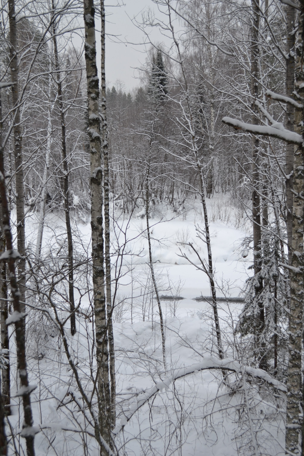 DSC_0259.JPG