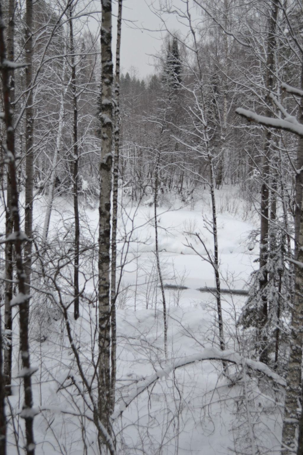 DSC_0260.JPG