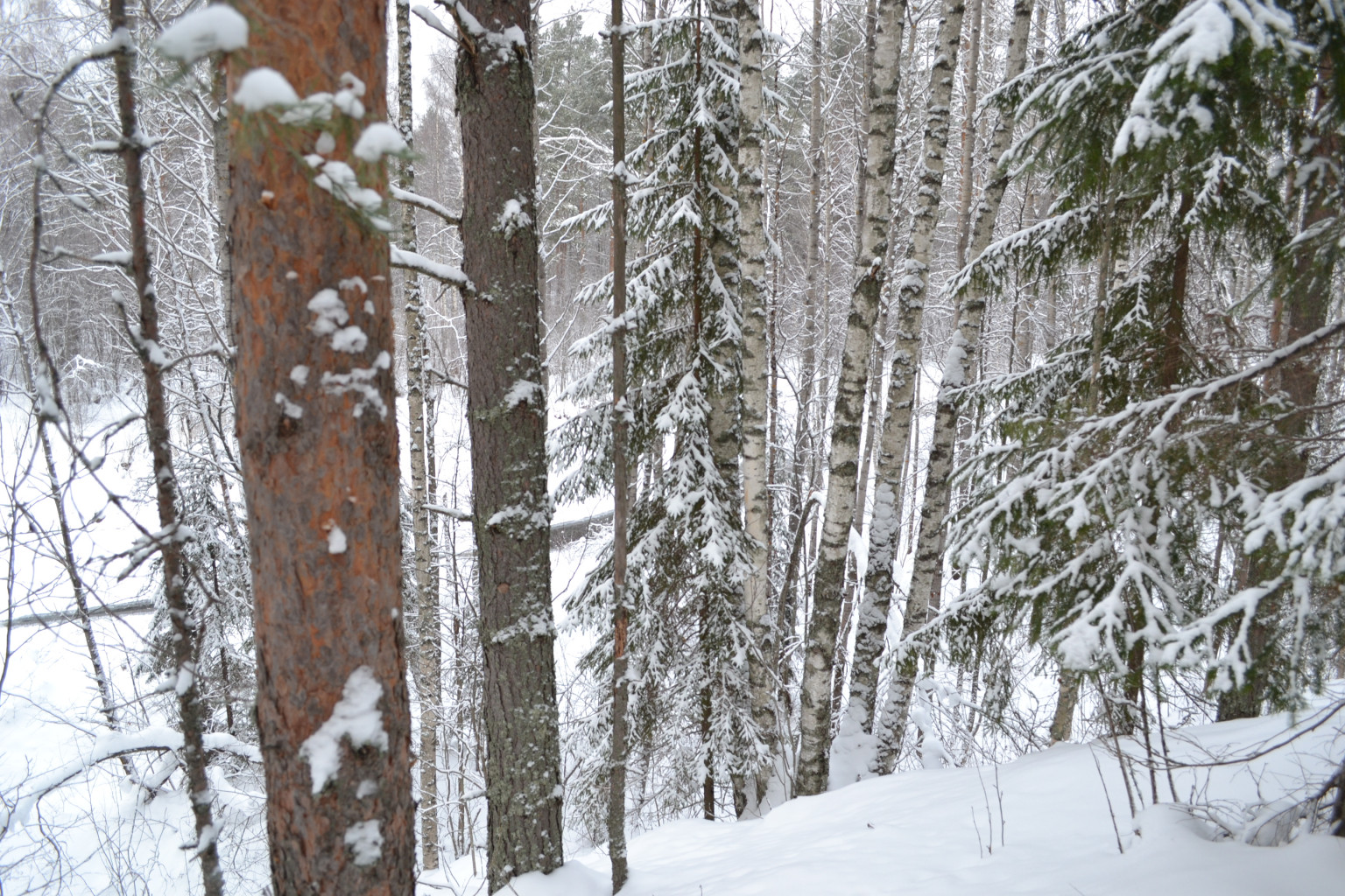 DSC_0261.JPG