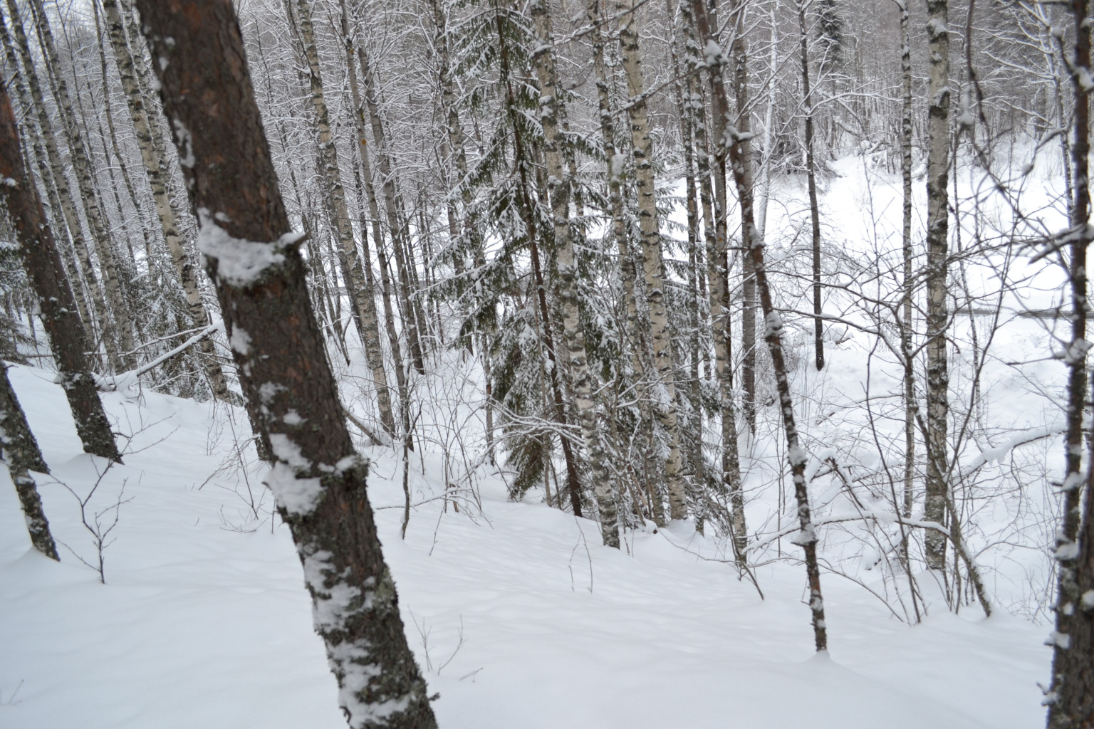DSC_0263.JPG