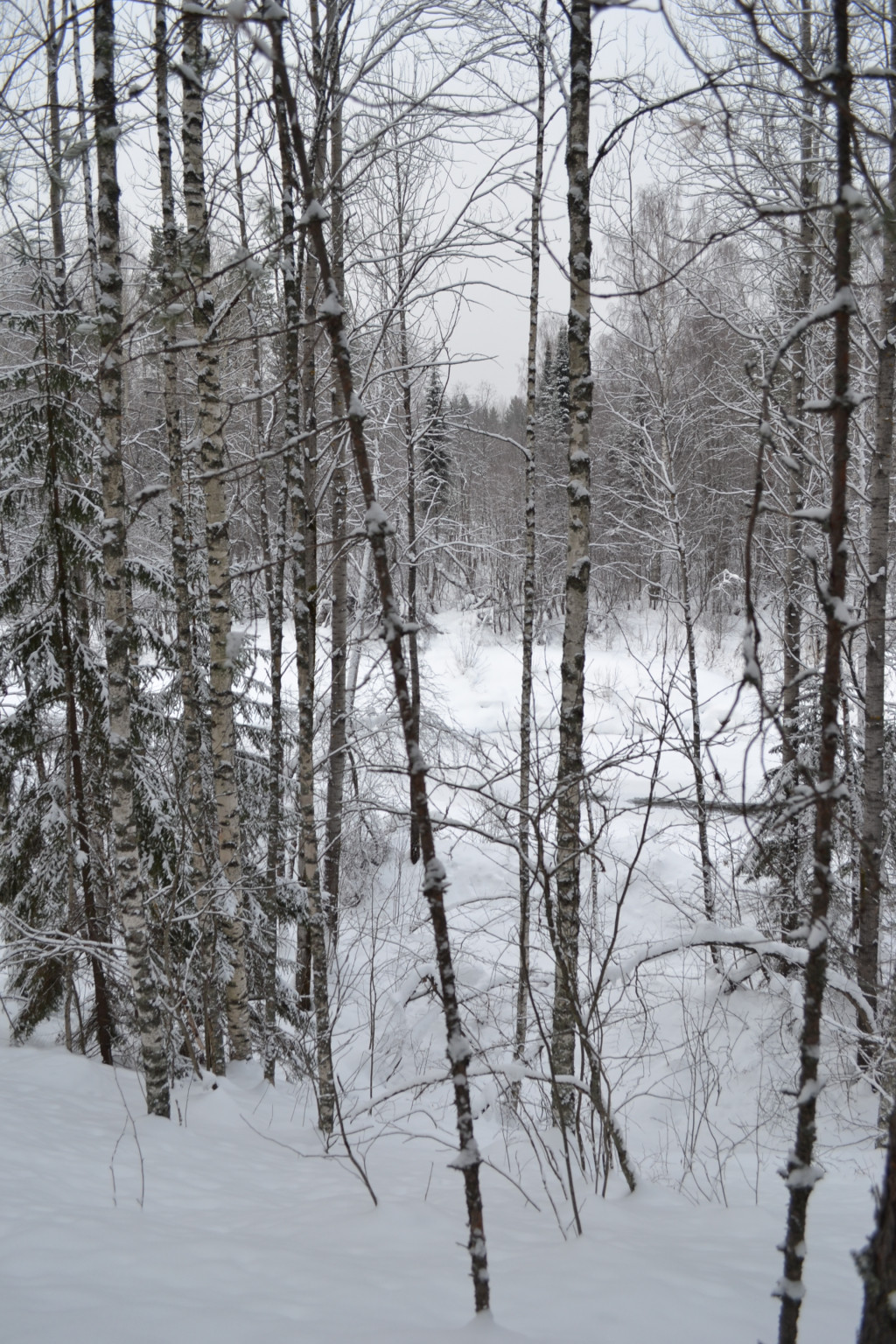 DSC_0265.JPG
