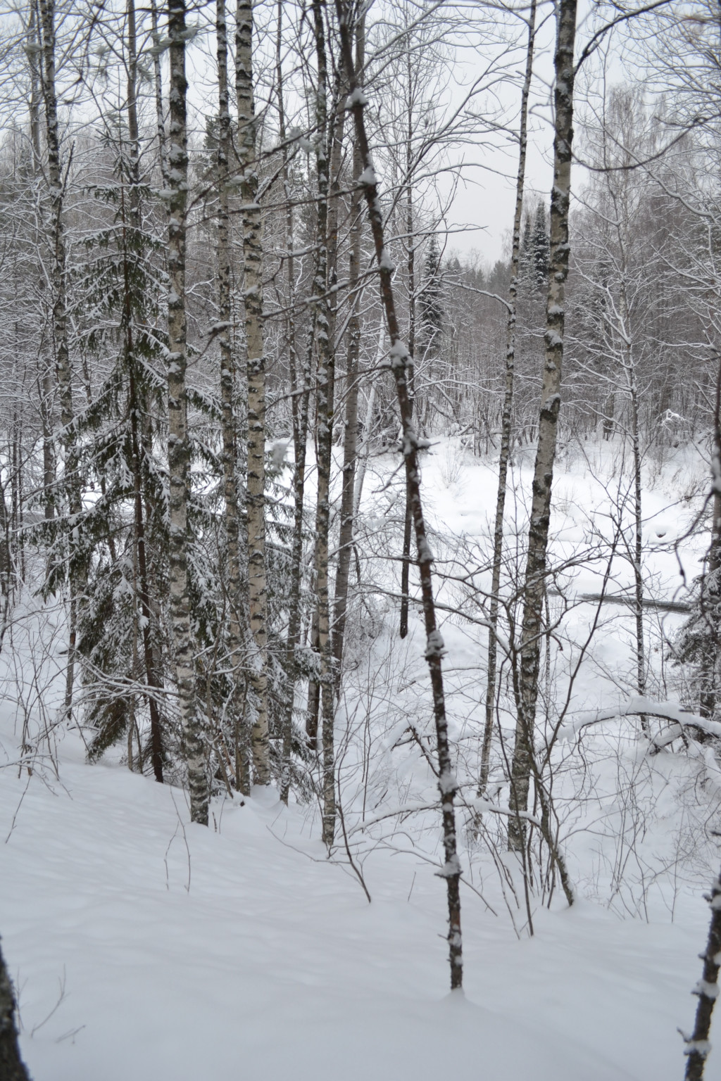 DSC_0266.JPG