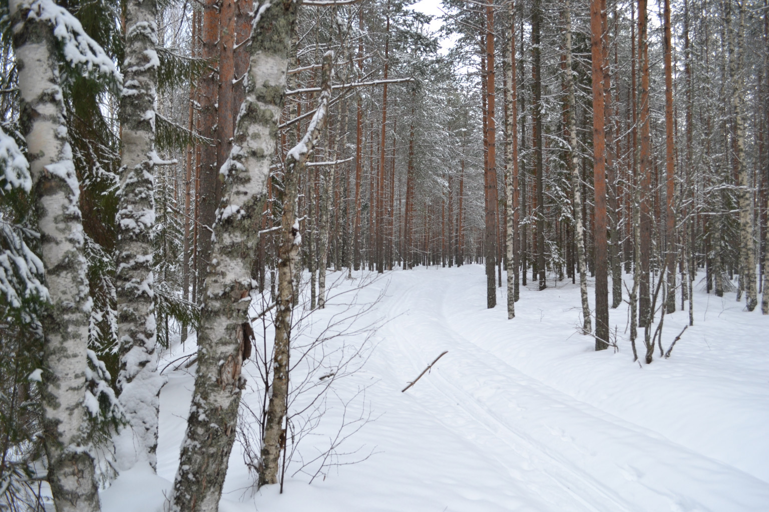 DSC_0267.JPG