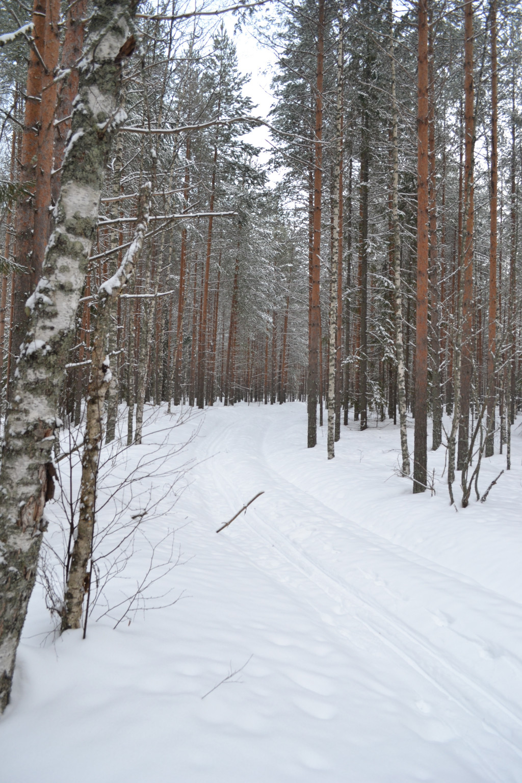 DSC_0268.JPG