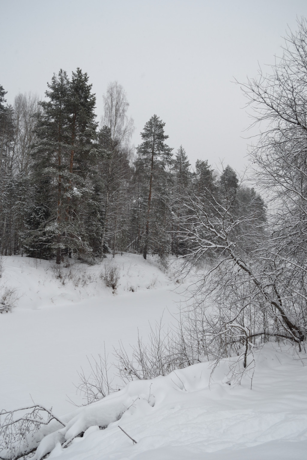 DSC_0297_01.JPG