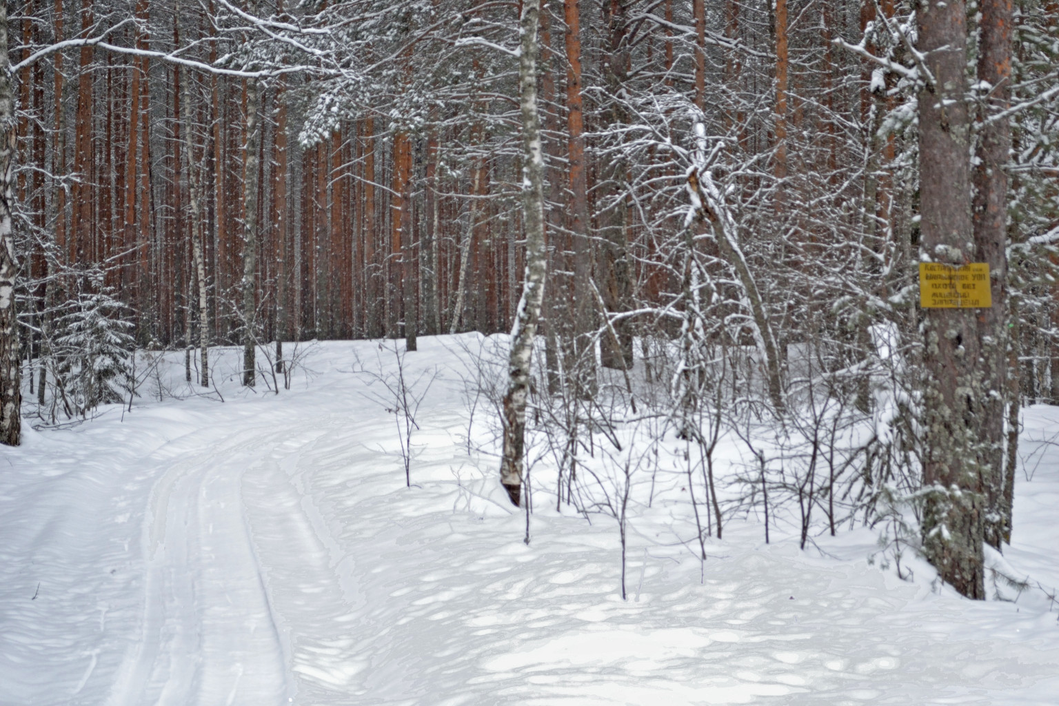 DSC_0307 .jpg