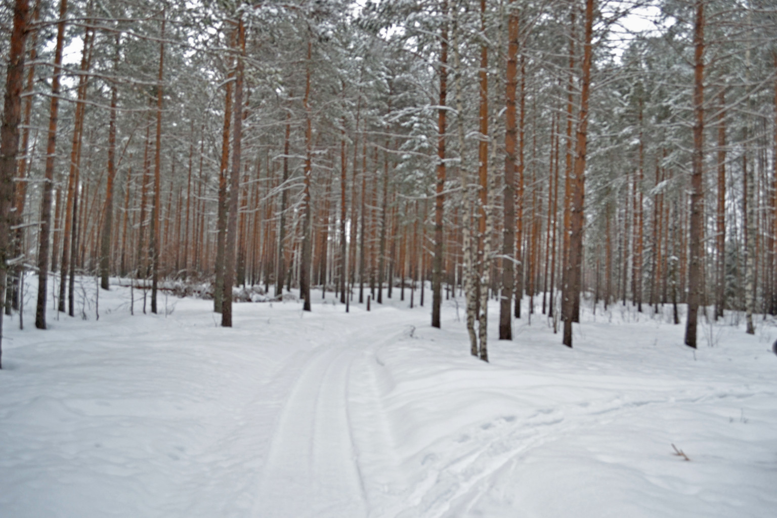 DSC_0320.JPG