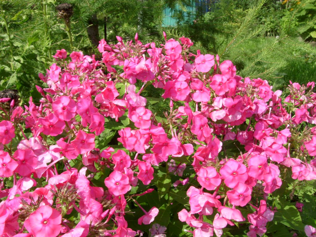 S73R5613.JPG