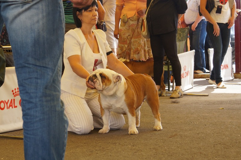 DSC03798.JPG