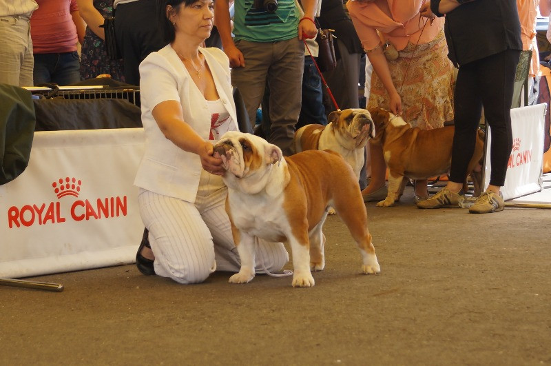 DSC03803.JPG