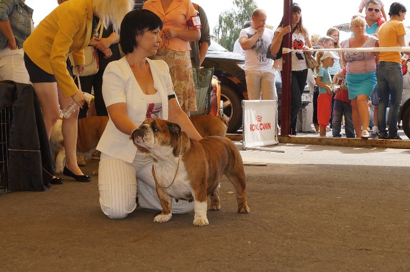 DSC03848.JPG