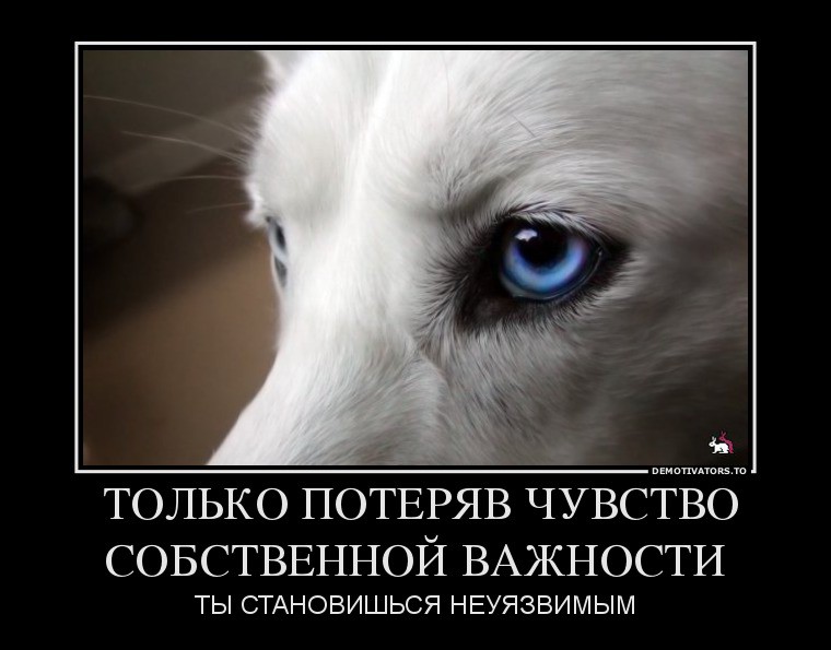 12.08.2013 10:27:03
