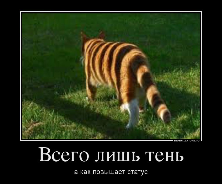 12.08.2013 11:48:42