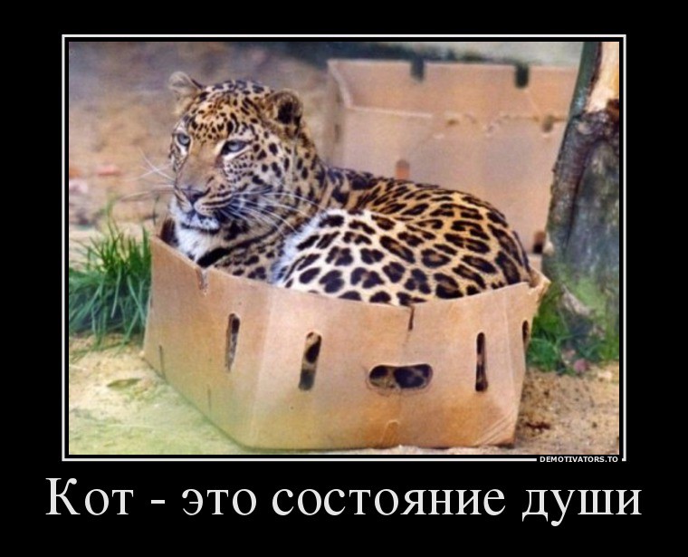 12.08.2013 11:49:29