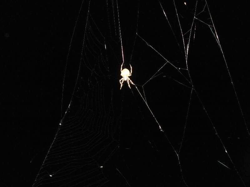 DSCF6415.JPG