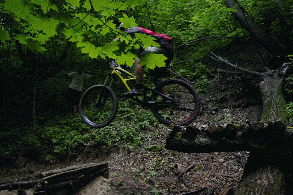 image    .gif