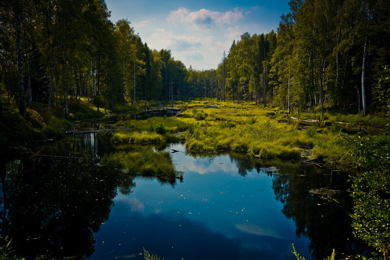 _DSC3851 - .jpg