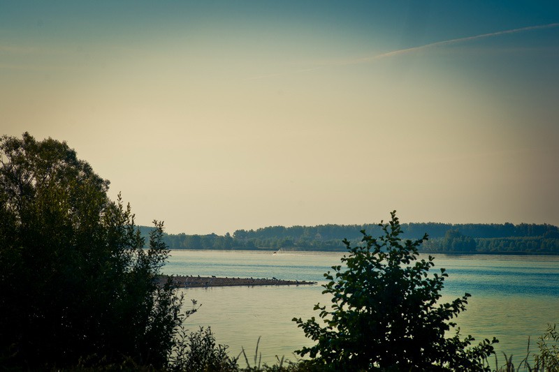 _DSC3597 - .jpg