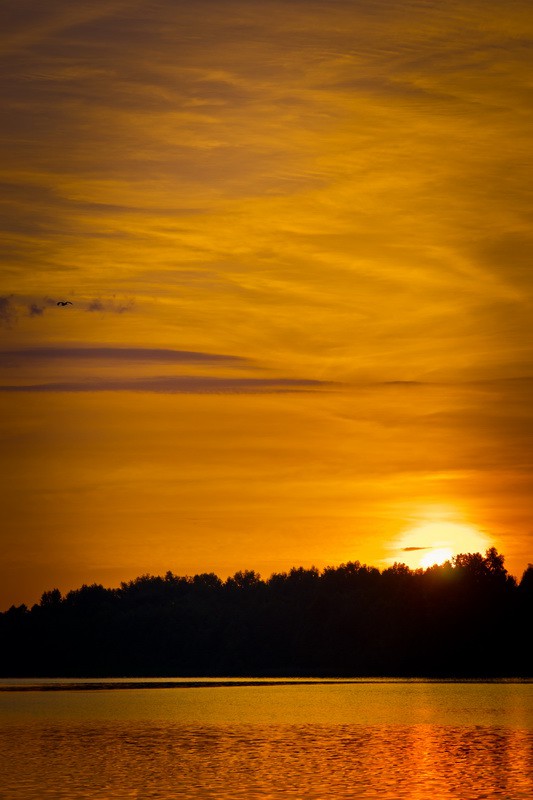 _DSC3913 - .jpg