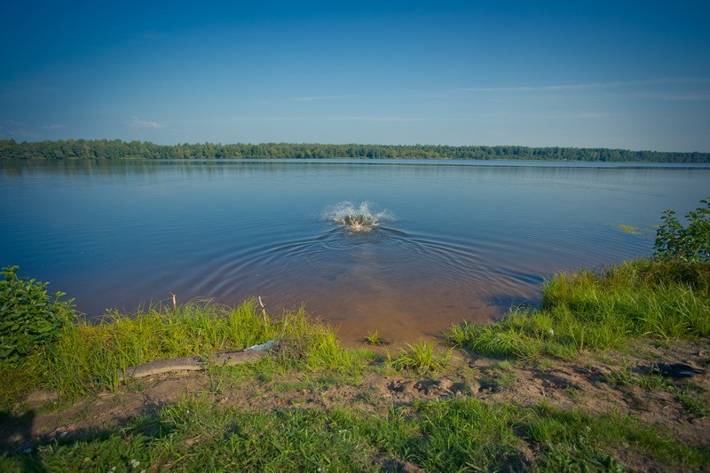 _DSC3979 - .jpg