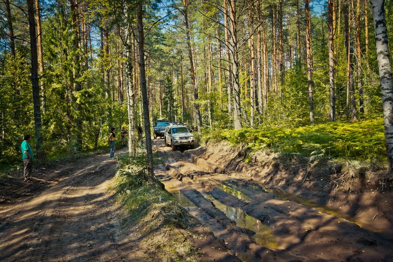 _DSC4111 - .jpg