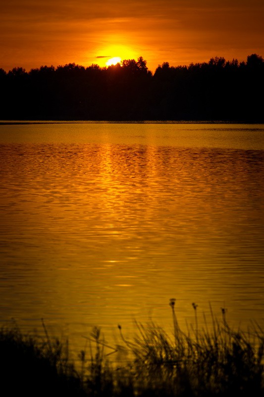 _DSC3915 - .jpg