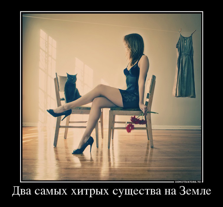 15.08.2013 14:24:33