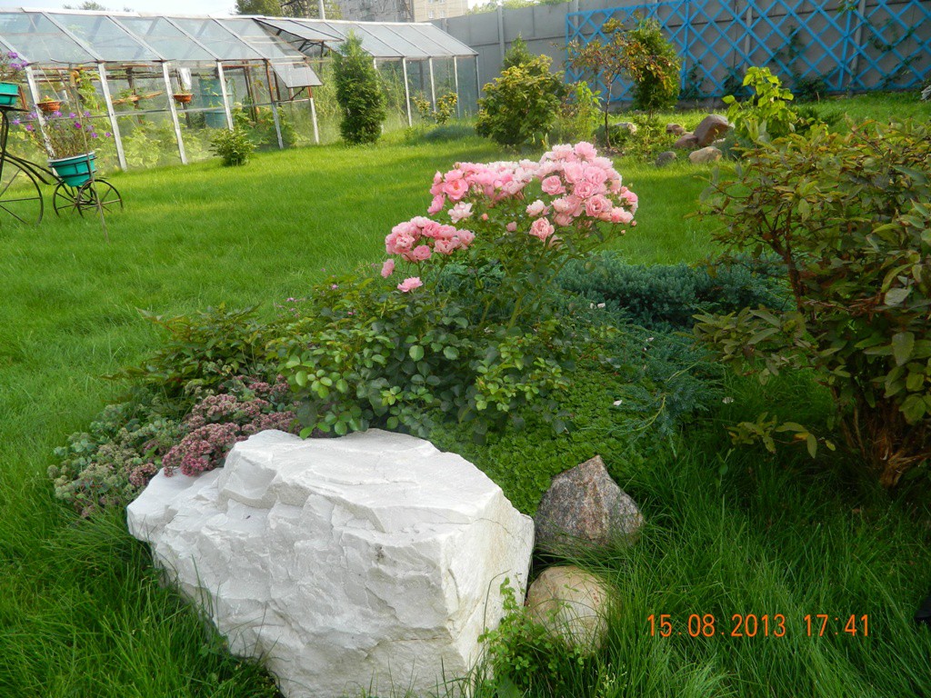 DSCN4133.JPG
