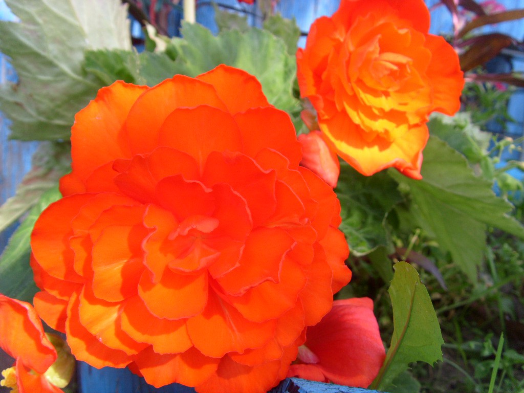 S73R5924.JPG