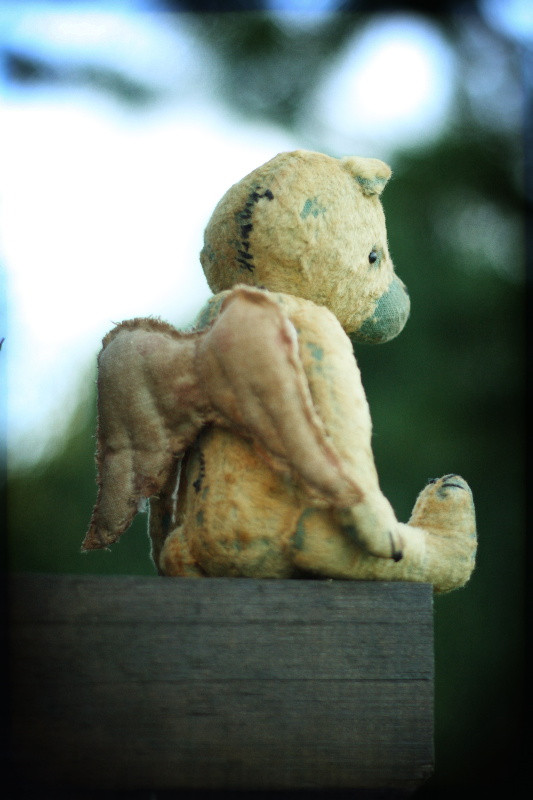 angel_14.JPG