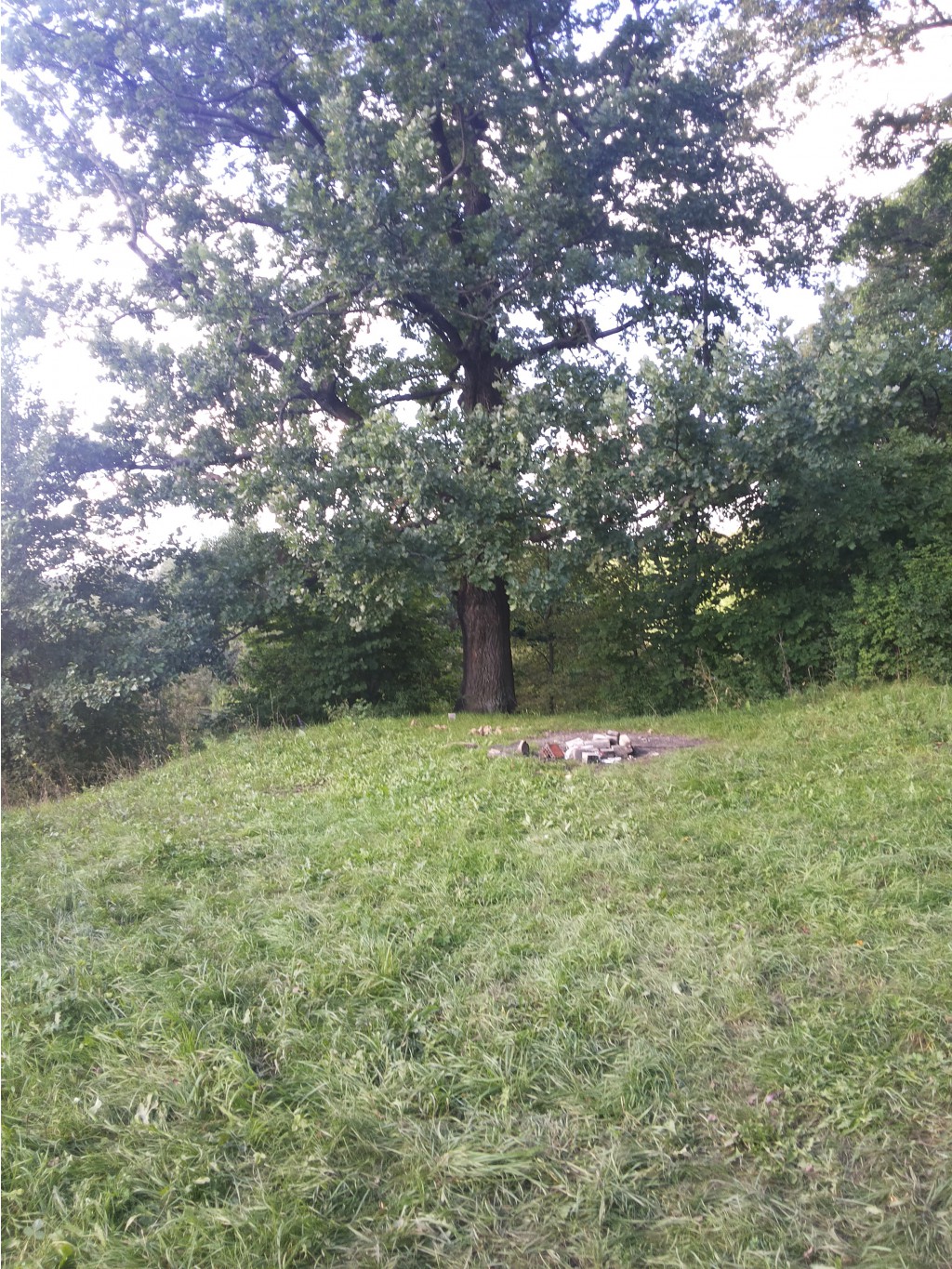 20130817_165159.jpg