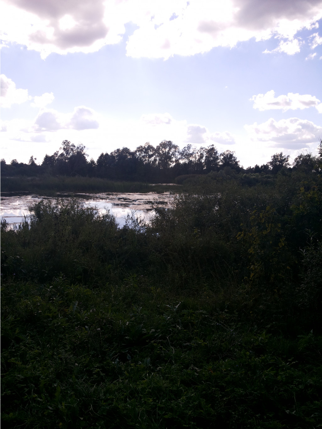 20130817_165205.jpg