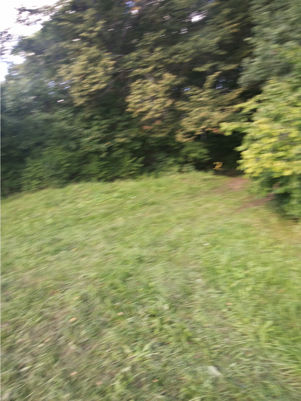 20130817_165207.jpg